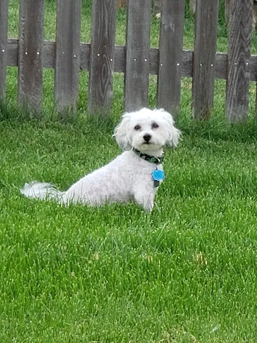 Banfield Pet Hospital 12