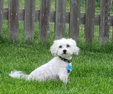 Banfield Pet Hospital