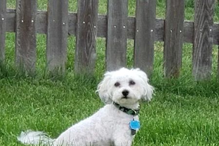 Banfield Pet Hospital