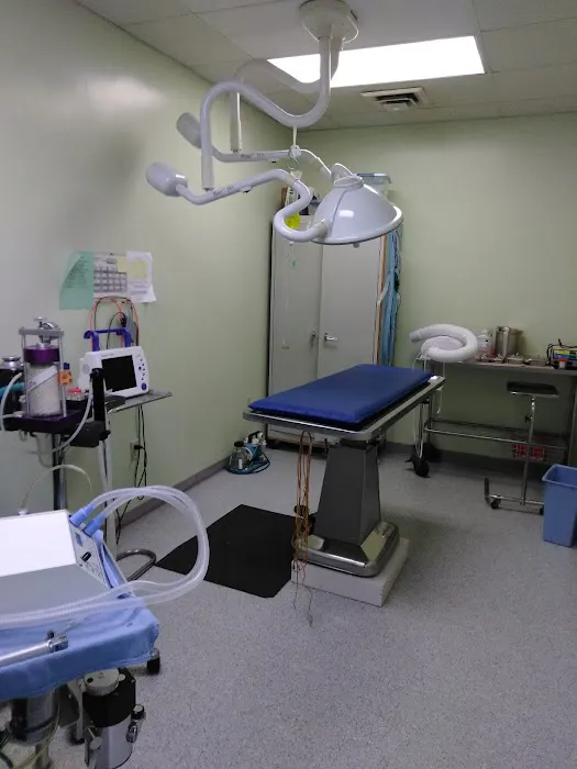 Providence Vet 4