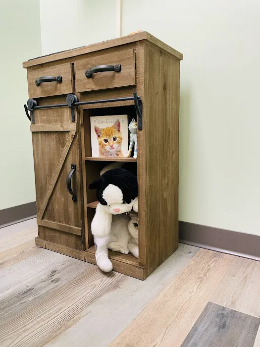 Lighthouse Veterinary Care for Cats 4