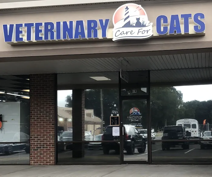 Lighthouse Veterinary Care for Cats 6