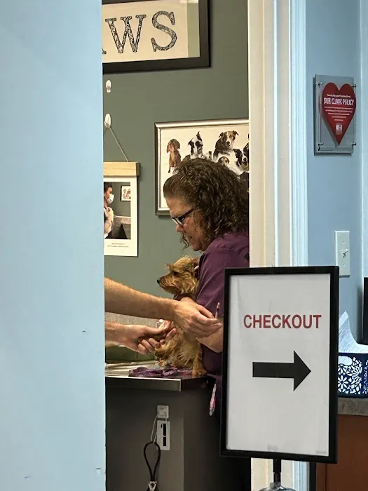 PAWS Clinic 6