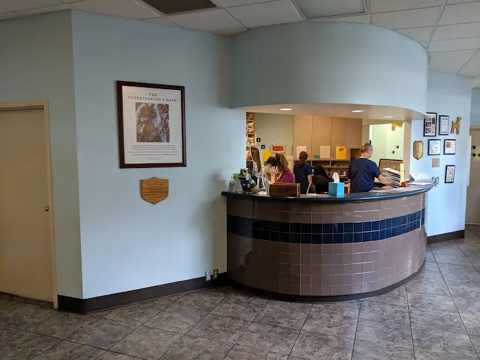 Acredale Animal Hospital 4