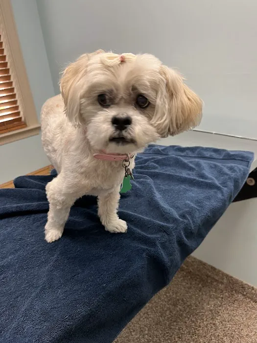 Acredale Animal Hospital 6