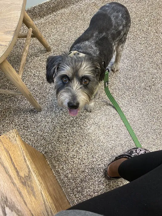 Acredale Animal Hospital 10