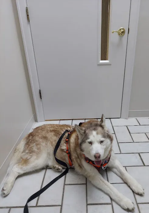 Timberlake Veterinary Hospital 5