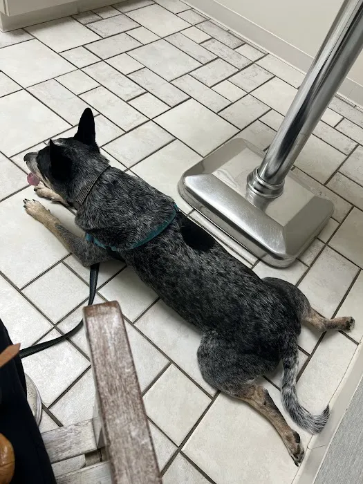 Timberlake Veterinary Hospital 10