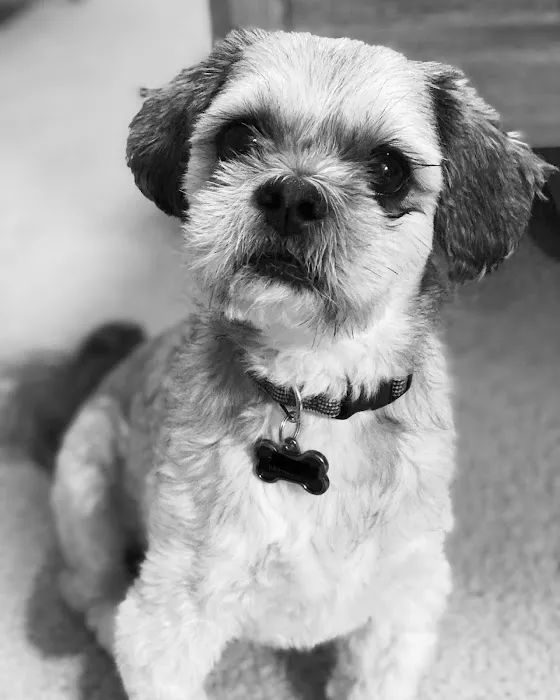 Timberlake Veterinary Hospital 7