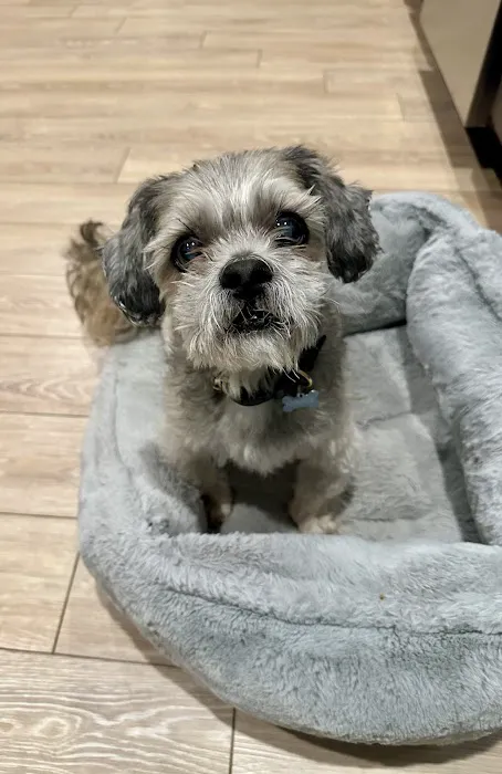 Timberlake Veterinary Hospital 4
