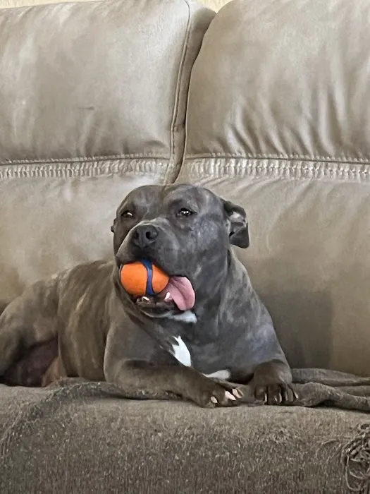 Dr. Hope for Pets 7