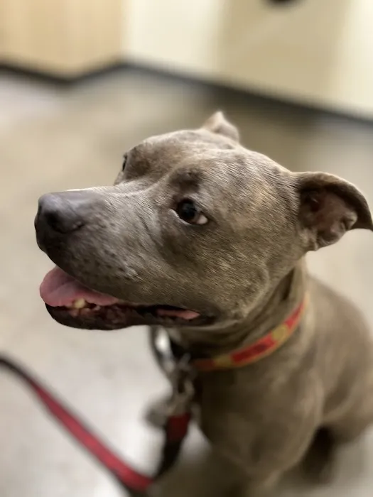 Dr. Hope for Pets 5
