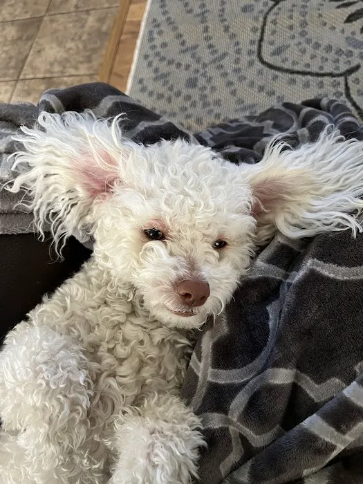 Dr. Hope for Pets 8