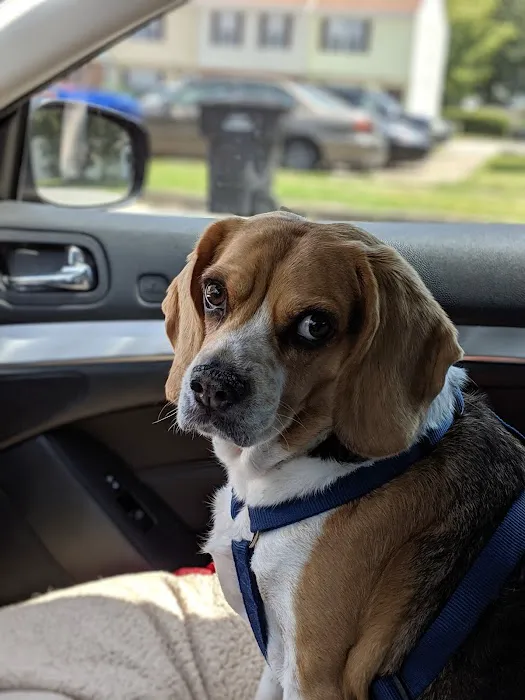 Virginia Beach Veterinary Hospital 9