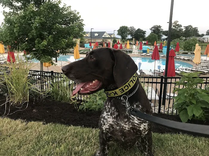 Virginia Beach Veterinary Hospital 6