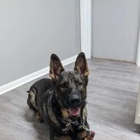 Bayside Veterinary Clinic ico