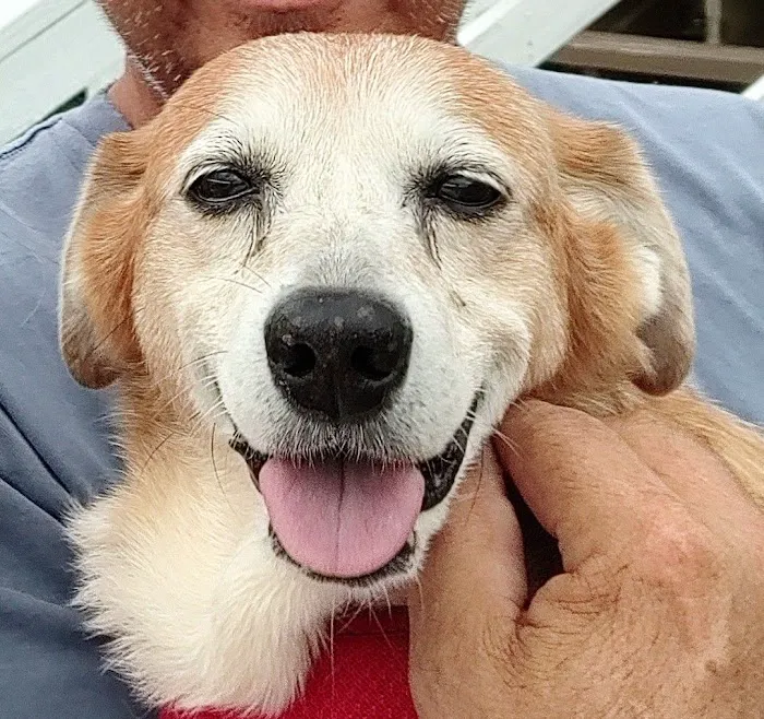 280 Animal Medical Center 12
