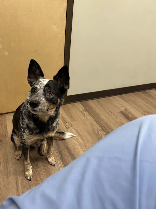 280 Animal Medical Center 12