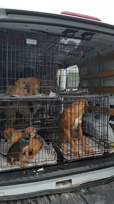 280 Animal Medical Center: Crisman Jay DVM 12