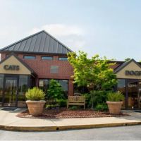 Riverview Animal Clinic ico