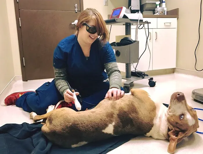 Riverview Animal Clinic 12