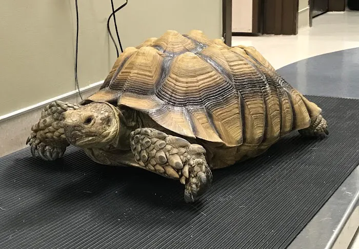 Riverview Animal Clinic 12