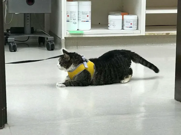 Riverview Animal Clinic 12