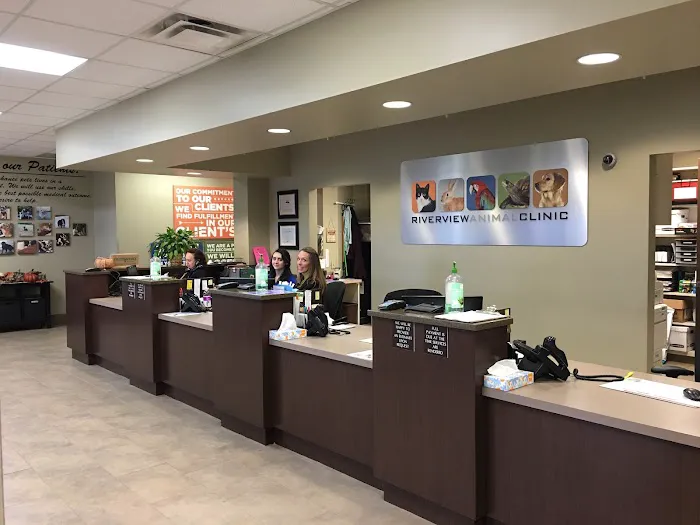 Riverview Animal Clinic 12