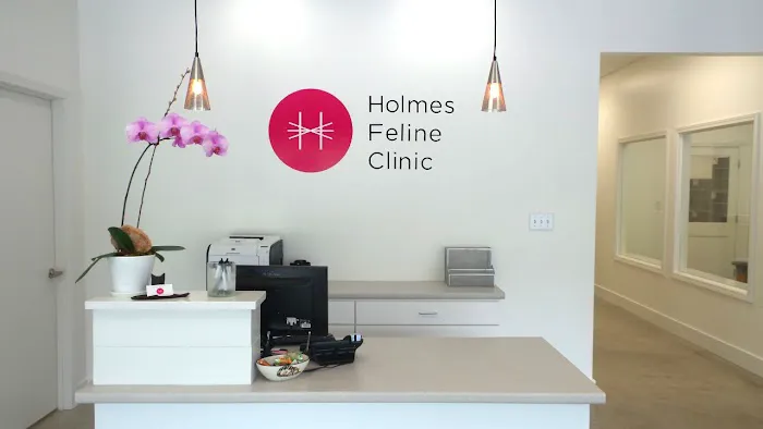 Holmes Feline Clinic 10