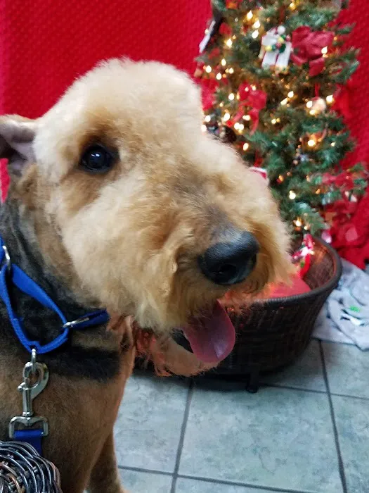 Altadena Valley Animal Clinic 7