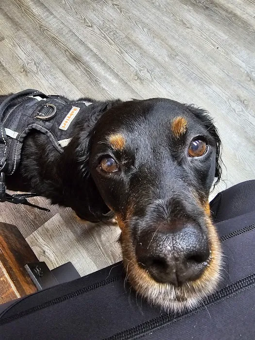Altadena Valley Animal Clinic 10