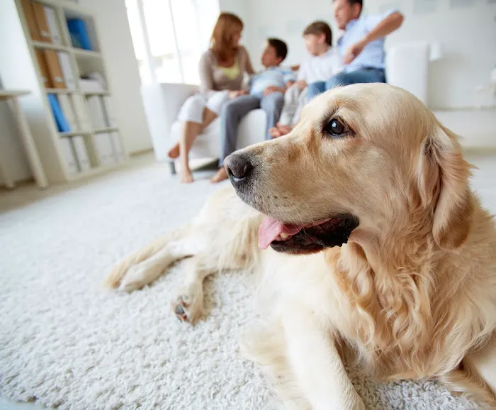Rocky Ridge Animal Clinic & Pet Hotel 4