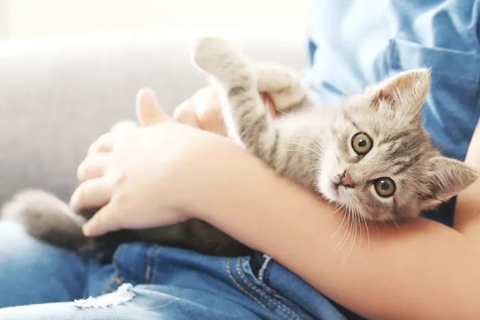 Rocky Ridge Animal Clinic & Pet Hotel 2
