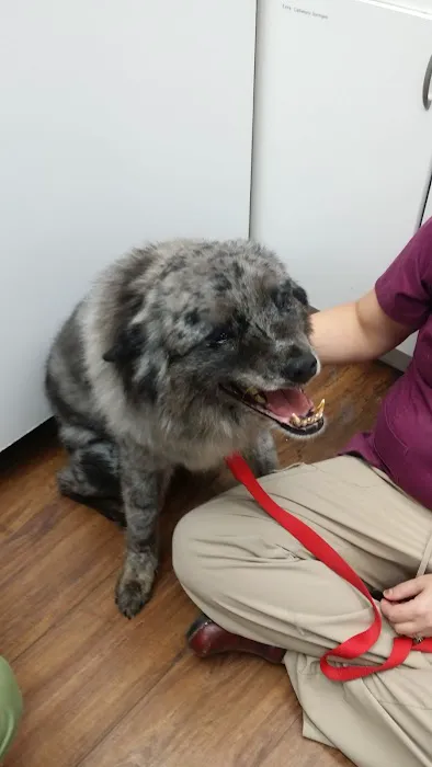 Advanced Veterinary Care of Vestavia 12