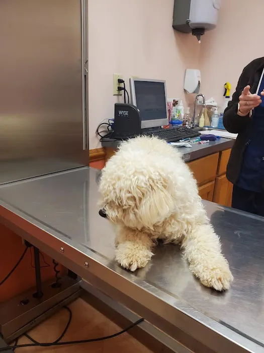 Platt Springs Road Animal Clinic 12