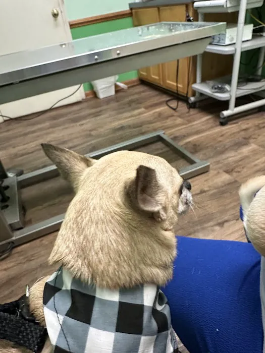 Platt Springs Road Animal Clinic 12