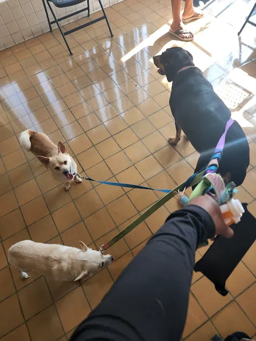 Pet-Vac Animal Hospital 4