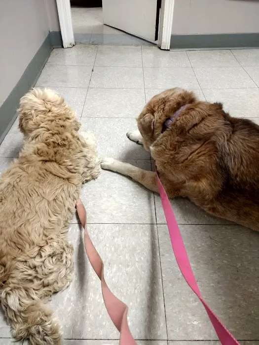 Pet-Vac Animal Hospital 3