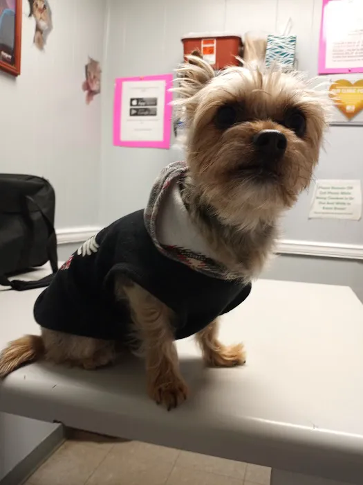 Pet-Vac Animal Hospital 1