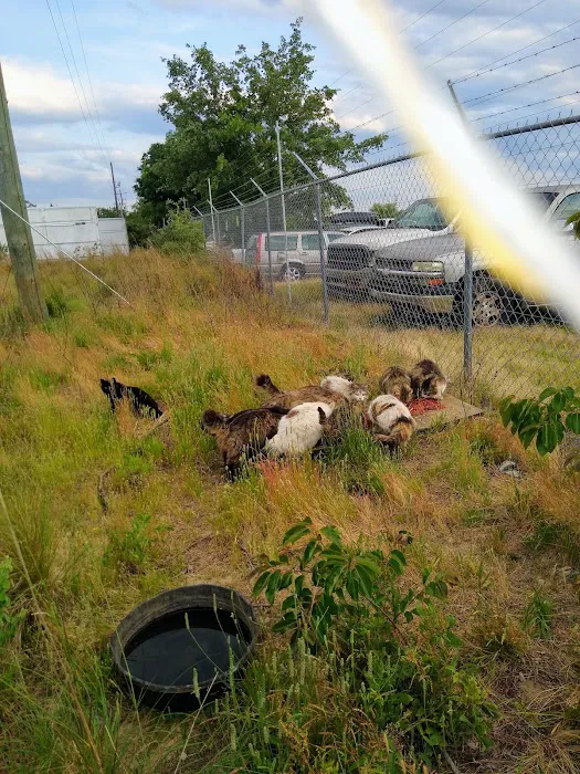 Crossroads Veterinary Services 9
