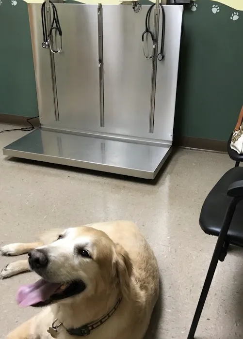 Crossroads Veterinary Services 8
