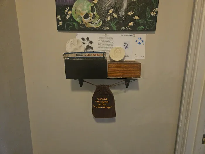St Andrews Animal Clinic 12