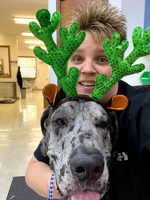 Midlands Veterinary Practice 12