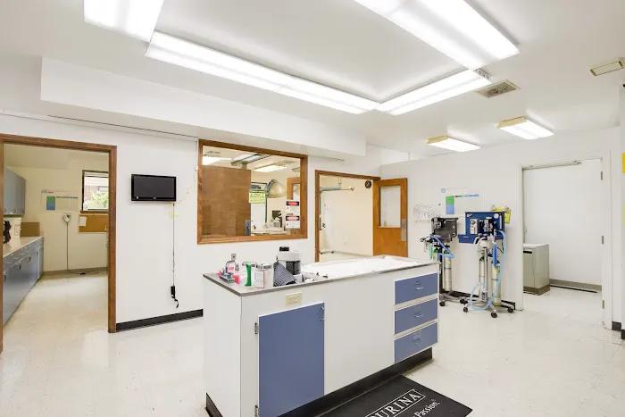 Midlands Veterinary Practice 12