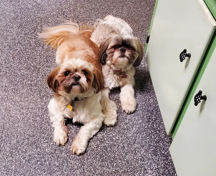 Banfield Pet Hospital 12