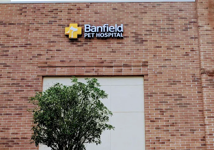Banfield Pet Hospital 12