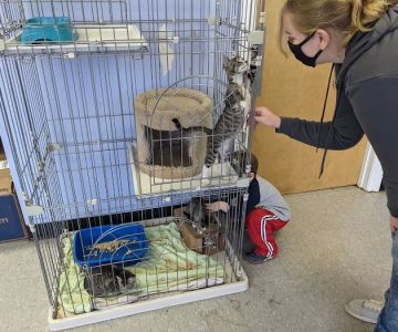Furry Friends Animal Hospital