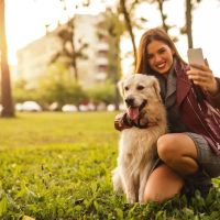 Manhattan Animal Clinic & Boarding Kennel ico