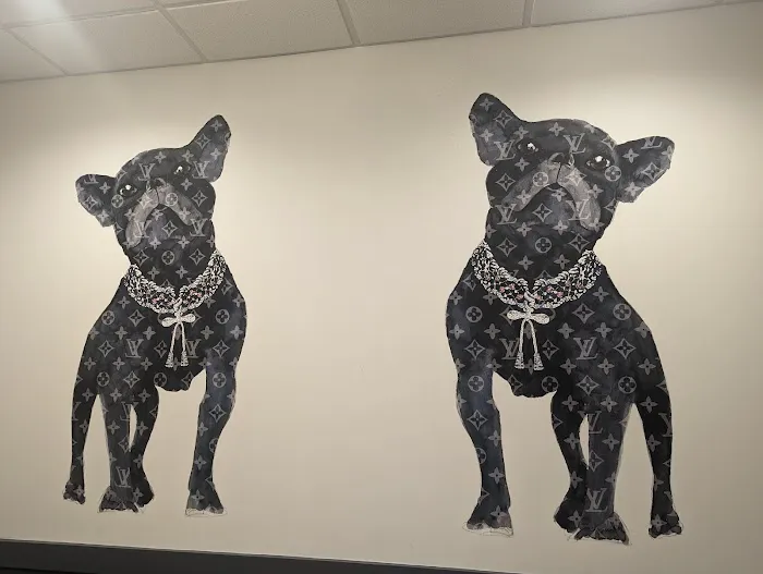 East Riverside Veterinary Hospital 5