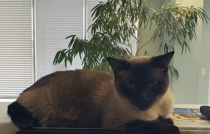 Marrero Veterinary Clinic 2